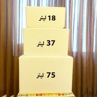 یخدان فیبری یونالیتی سه سایز|ظروف نگهدارنده، پلاستیکی، یک‌بارمصرف|اصفهان, پروین|دیوار