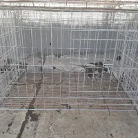 قفس کبوتر|لوازم جانبی حیوانات|ایلام, |دیوار