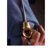 فروش ۲ عدد شیر اطمینان