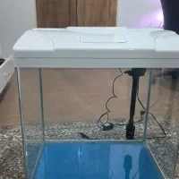 آکواریوم آکوا