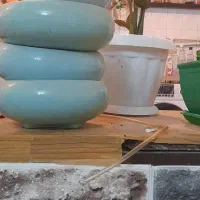 گلدان بونسای