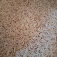 برنج طارم هاشمی