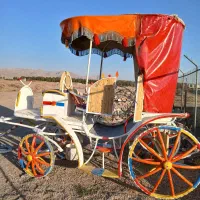 کالسکه خوش رکاب آماده کار