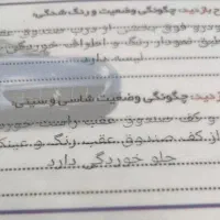 خودرو سواری ساینا ۹۸|خودرو سواری و وانت|رشت, ساغری سازان|دیوار