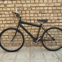 دوچرخه المپیا 24