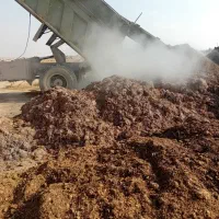 کود  سوخته گاوی  استان قدس