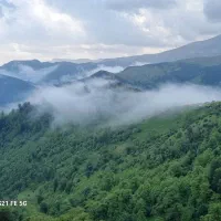 کلبه روستایی چوبی سوییت داخل شهر ماسال  کلبه چوبی|اجارهٔ کوتاه‌مدت ویلا و باغ|ماسال, |دیوار