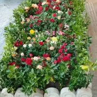 خدمات باغبانی و کشاورزی