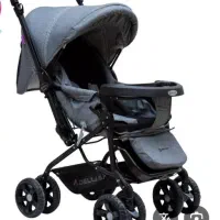 کالسکه دلیجان طوسی