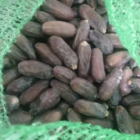 خرما ربی ارگانیک|خوردنی و آشامیدنی|بمپور, |دیوار