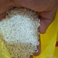 برنج عنبر شوشتر