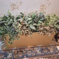 باکس گل همراه گل|گل مصنوعی|اهواز, شهرک دانشگاه|دیوار