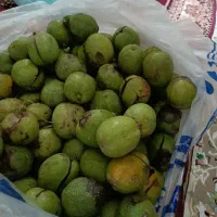 پوست کنی گردو