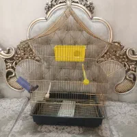 قفس طلایی