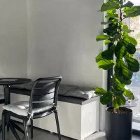 صندوق دار/باریستا|استخدام خدمات فروشگاه و رستوران|بوشهر, |دیوار