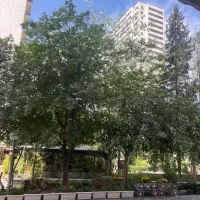 مغازه ۳۰ متری ونک پارک