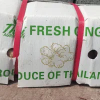 زنجبیل تایلندی