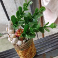 گلدانهای فانتزی و مجسمه خرسی