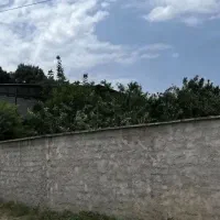 فروش و معاوضه زمین تجاری مسکونی در  رامسر|فروش زمین و ملک کلنگی|کتالم و سادات شهر, |دیوار