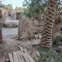 21قصب-باغ-درشهداد