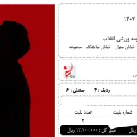 دو عدد بلیت کنسرت آرمان گرشاسبی|بلیت کنسرت|تهران, نمایشگاه بین المللی|دیوار