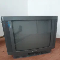تلویزیون