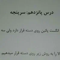نت عددی نی انبان