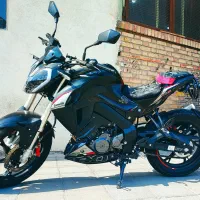 بنلی 180S  1403 خشک وحشی