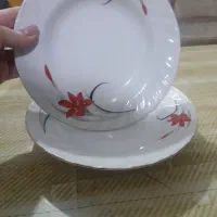 یک دست بشقاب ۶ عددی خورشت خوری بفروش میرسد|ظروف سرو و پذیرایی|رشت, رشتیان|دیوار