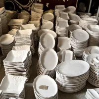 ظروف سرامیکی فقط دانه ای ۱۲۰