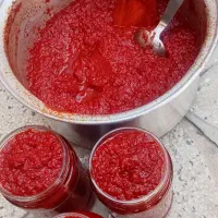 رب گوجه خانگی