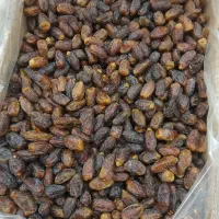 خرمای جنوب (شهابی)