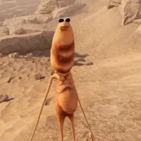 راحت یاد بگیر