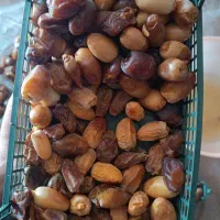 کنگه جهت دام