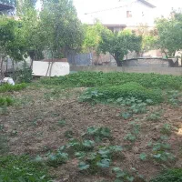 زمین با انشعابات کامل در مازندران شهرستان سیمرغ