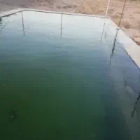 باغ بهمراه آب|فروش زمین و ملک کلنگی|خوسف, |دیوار