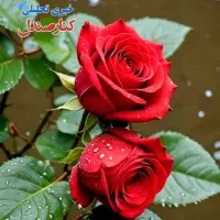 آپارتمان شخصی همکف