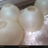 دوعددلوسترچوبی|لوستر و چراغ آویز|رشت, حومه رشت|دیوار