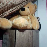 فوری خرس بزرگ