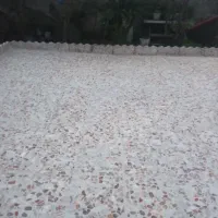 کار|استخدام معماری، عمران و ساختمانی|خشکبیجار, |دیوار