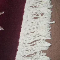 فرش|فرش|گرگان, |دیوار