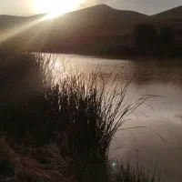 استخدام مدیر کارخانه صنعتی باتجربه