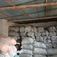 پخش زغال اتشفشان|عمده‌فروشی|گرگان, |دیوار