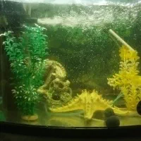 آکواریوم باوسایل کامل