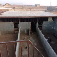 دامداری در روستای فلکدین