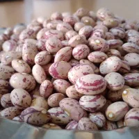 حبوبات زود پز