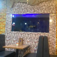 اکواریوم
