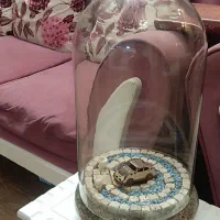 باکس بزرگ گل و گیاه