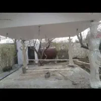 گچکاری ، پنل گچی ، بازسازی ، تیغه چینی،سیمانکاری