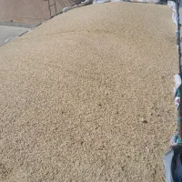 جو محلی وجو خارجی کیسه شده|لوازم جانبی حیوانات|آباده, |دیوار